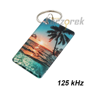Brelok zbliżeniowy 045 - 125 kHz
